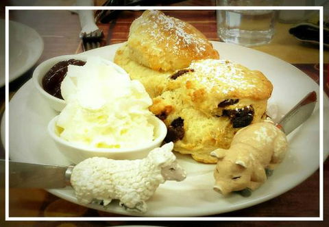 Sticky Beaks Cafe Longford Tasmania - e-Seniors 0