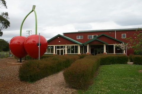 The Cherry Shed - e-Seniors 0