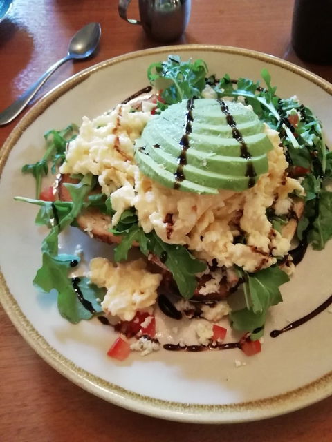 The Hairy Giraffe Cafe - e-Seniors 1