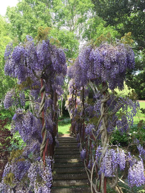 Villarett Gardens - e-Seniors 4