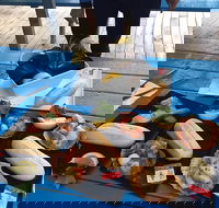 Freycinet Marine Farm - e-Seniors