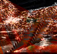 Hazards Brewing Coffee Co - e-Seniors