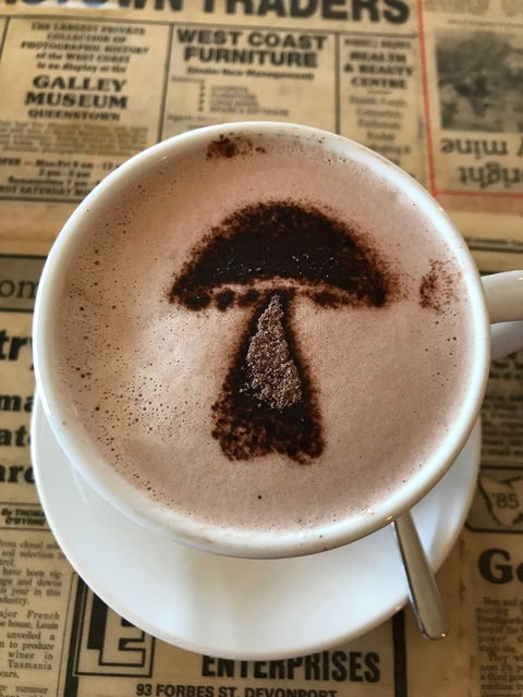 The Mushroom At Waratah - e-Seniors 9