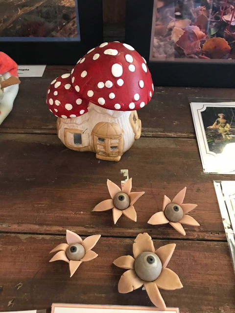 The Mushroom At Waratah - e-Seniors 7