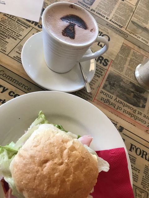 The Mushroom At Waratah - e-Seniors 8