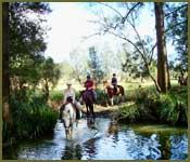 Bellrowan Valley Horse Riding - e-Seniors 1