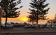 Cott & Co. Fish Bar - thumb 2