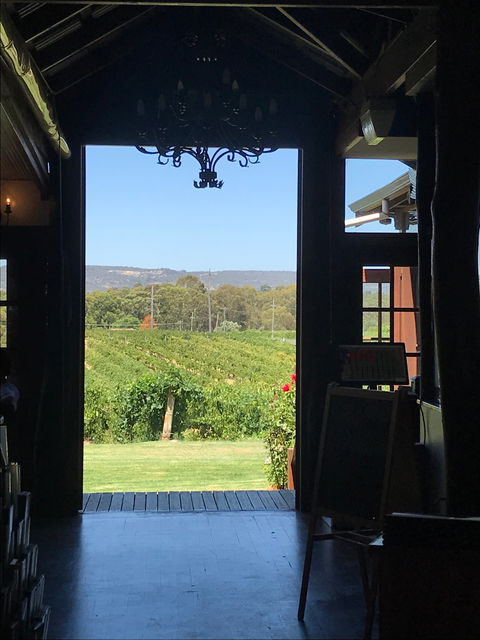 Black Swan Winery And Restaurant - e-Seniors 1