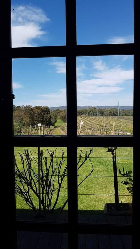 Black Swan Winery And Restaurant - e-Seniors 5