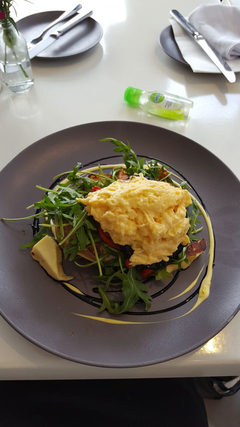 Brushfoot Cafe - e-Seniors 1