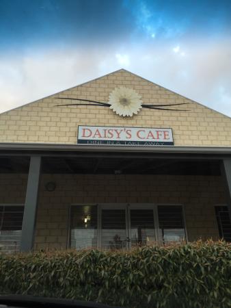 Daisy's Cafe - e-Seniors 0