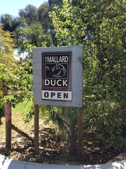 Mallard Duck - e-Seniors 1
