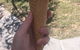 Gusto Gelato - thumb 4