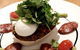 Ostro Eatery - thumb 0