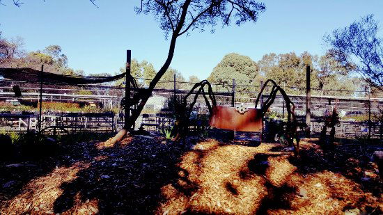 Hazelmere WA e-Seniors