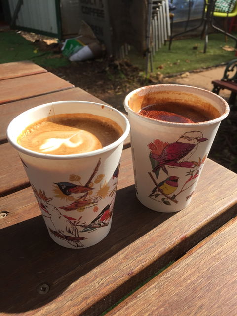 Bolt Coffee Roasters - e-Seniors 2