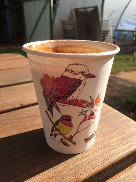 Bolt Coffee Roasters - e-Seniors 6