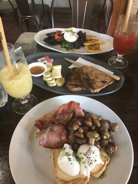 Goanna Cafe And Gallery - e-Seniors 1