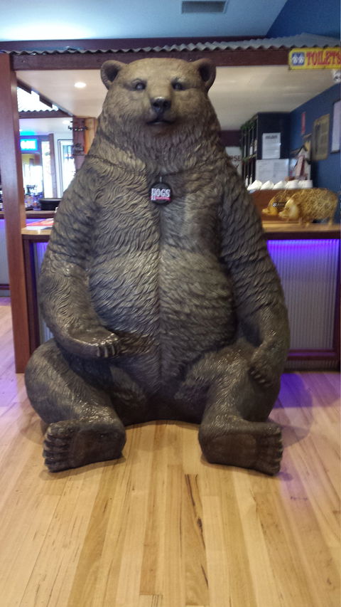 Hogs Breath Cafe - e-Seniors 1