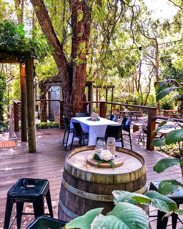 Naked Apple Cider House - e-Seniors 0