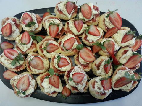 Plum Cafe At The Park - e-Seniors 0