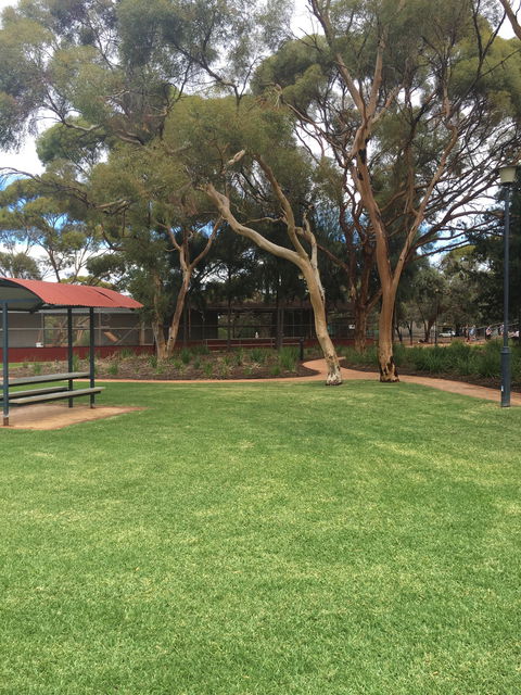 Plum Cafe At The Park - e-Seniors 1