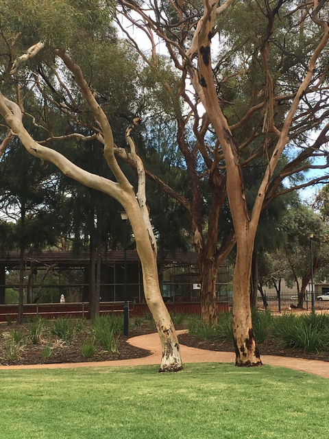 Plum Cafe At The Park - e-Seniors 2