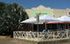 Wild Mango Cafe - thumb 0
