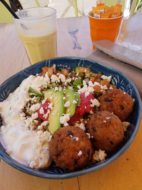 Wild Mango Cafe - e-Seniors 6