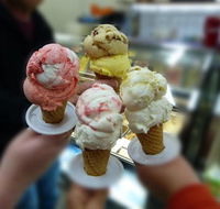 Artisan Gelato - e-Seniors