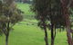 Ferguson Falls Wines Cafe - thumb 3