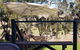 Ferguson Falls Wines Cafe - thumb 6