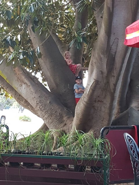 Gibson Soak Country Pub - e-Seniors 1