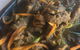 Millets Restaurant - thumb 1