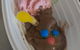 Mumma's Eats 'n' Sweets - thumb 6