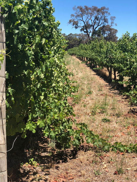 Rustico At Hay Shed Hill - e-Seniors 3
