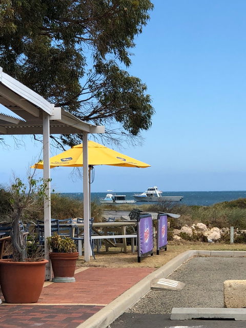 Seashells Cafe - e-Seniors 1