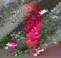 Secret Garden Adult Devonshire Tea House - e-Seniors