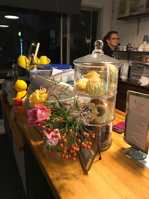 Tasty Edibles - e-Seniors 9