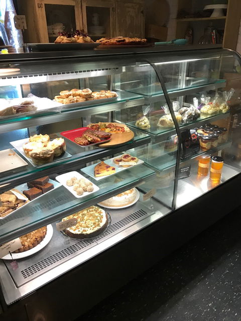 Tasty Edibles - e-Seniors 1
