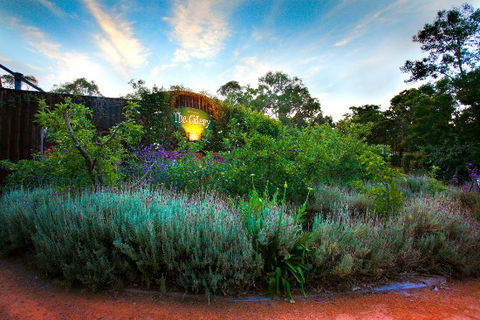 The Cidery - e-Seniors 0