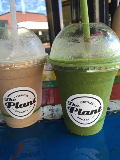 The Plant Organic Cafe & Market - e-Seniors 1