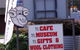 The Shed Cafe Restaurant - thumb 8