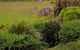 Windrush Wines And Cafe - thumb 4