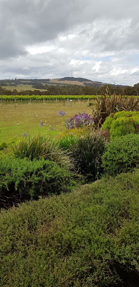 Windrush Wines And Cafe - e-Seniors 4