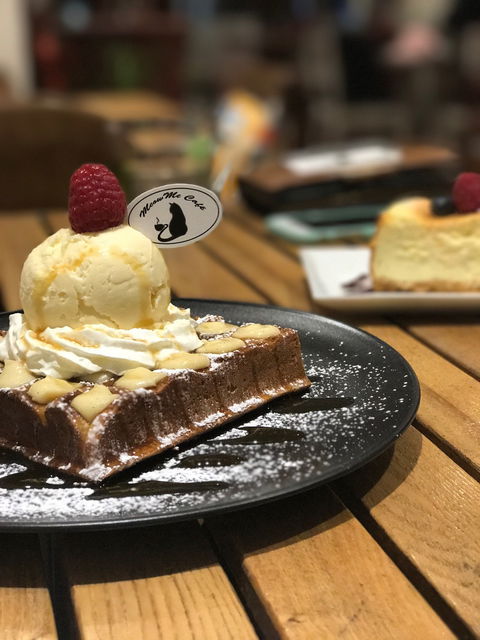 MeowMe Cafe - e-Seniors 1