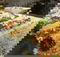 Soul Origin - e-Seniors