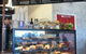 The Front Page Cafe - thumb 2
