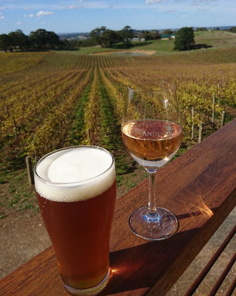 Anderson Hill Cellar Door Restaurant - e-Seniors 4