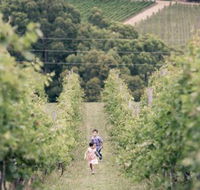 Greenhill Wines - e-Seniors